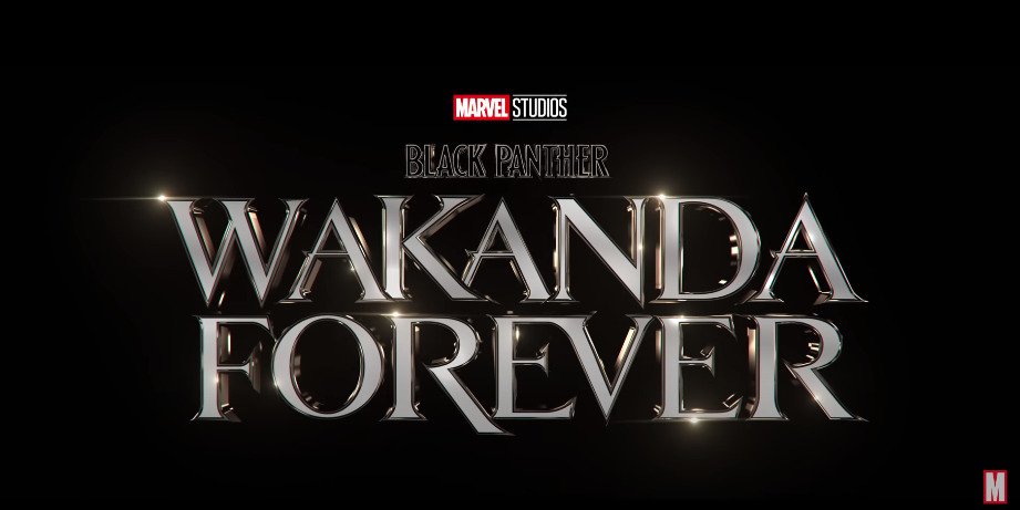Black Panther- Wakanda Forever Movie