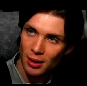 Cillian Murphy Domestic Terrorist in Red Eye.