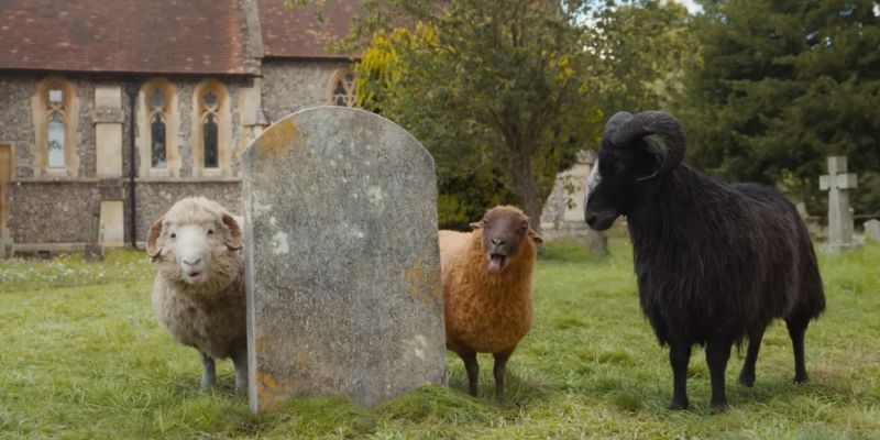 Mopple, Lily and Sebastian in 2026 The Sheep Detectives Movie